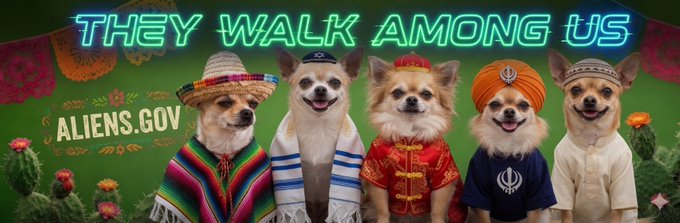 Five chihuahuas in different cultural attire: sombrero, kippah, Chinese cap, beaded headband, and turban